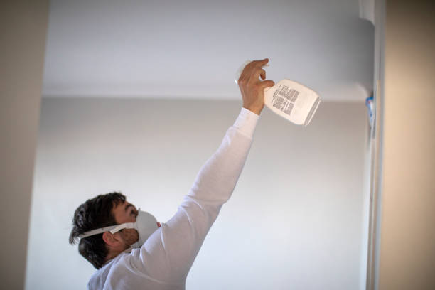 Best HVAC Mold Remediation in Wild Peach Village, TX