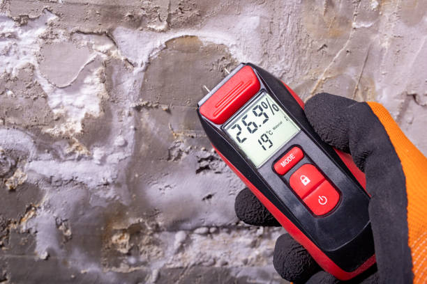 Best Post-Remediation Services in Wild Peach Village, TX
